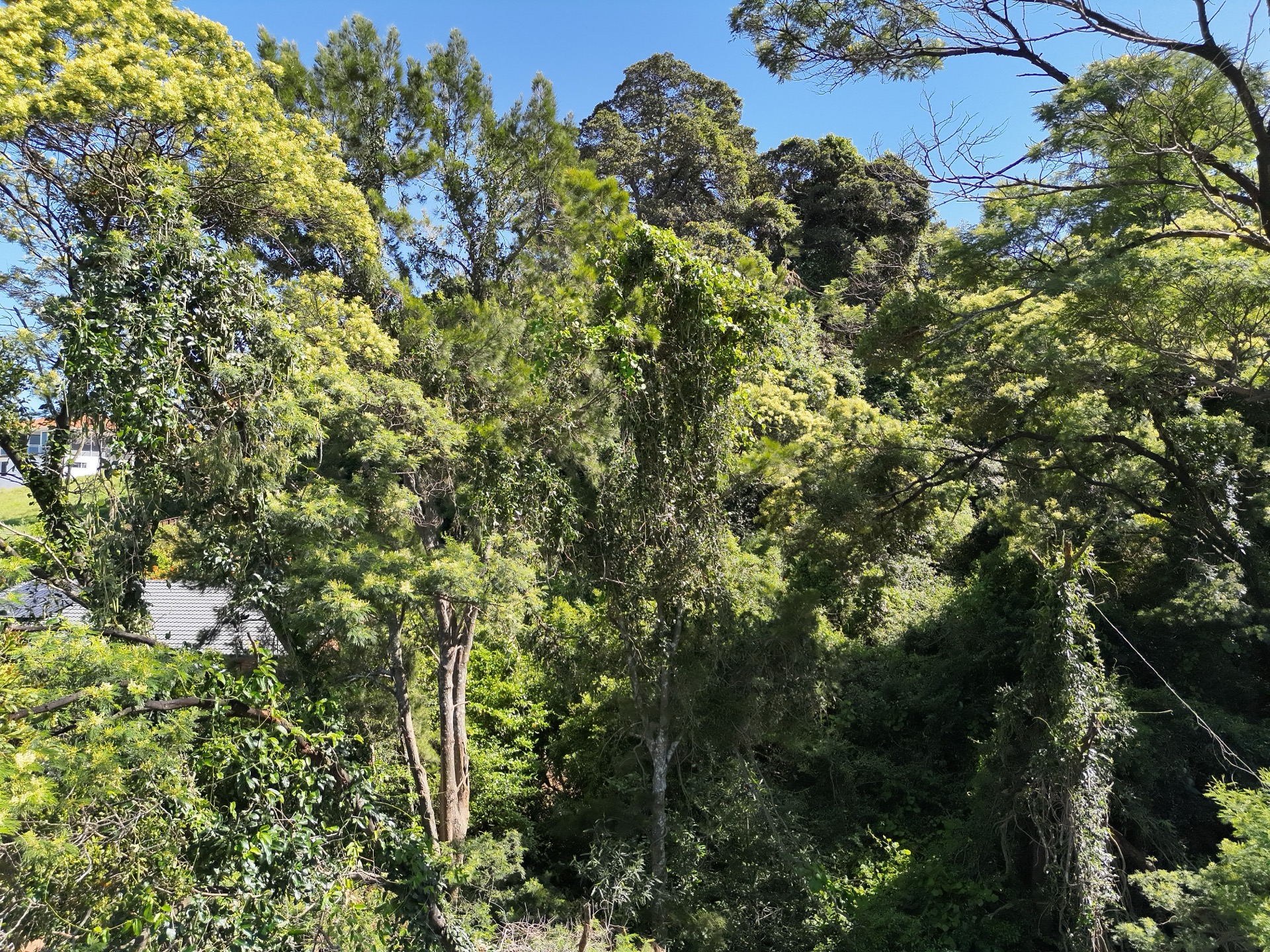 6A, Right view