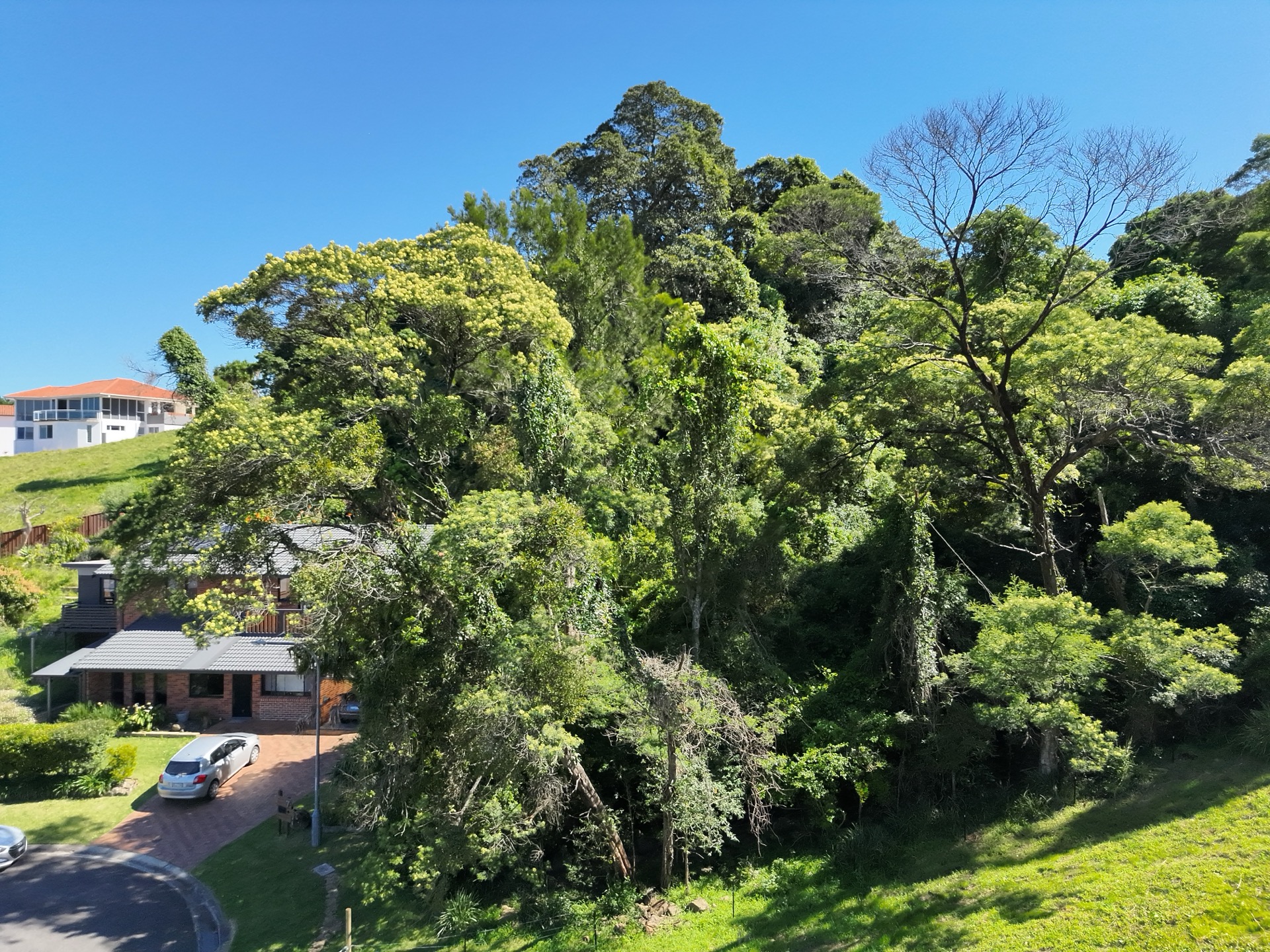 6B, Right view