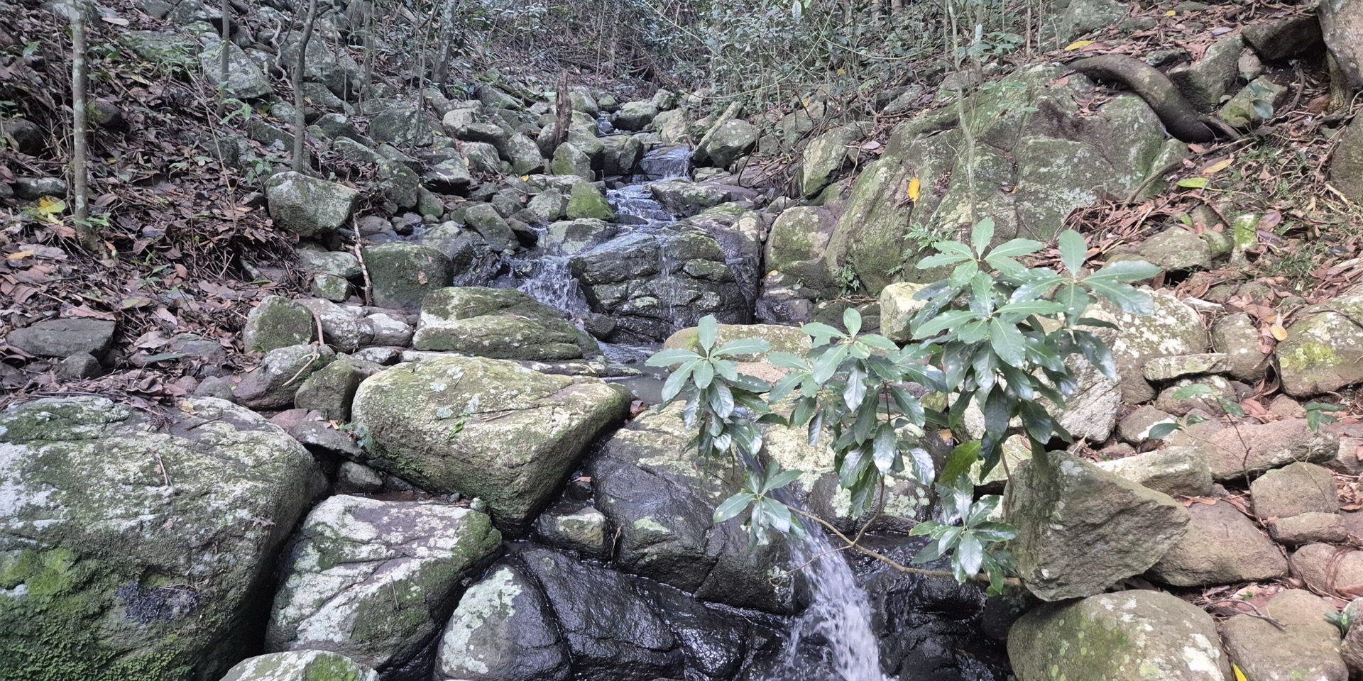 Waterfall and stream in neighbouring bushland, metres from the property